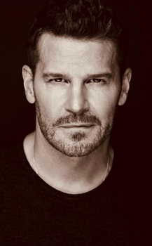 David Boreanaz